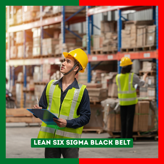 Lean Six Sigma Black Belt